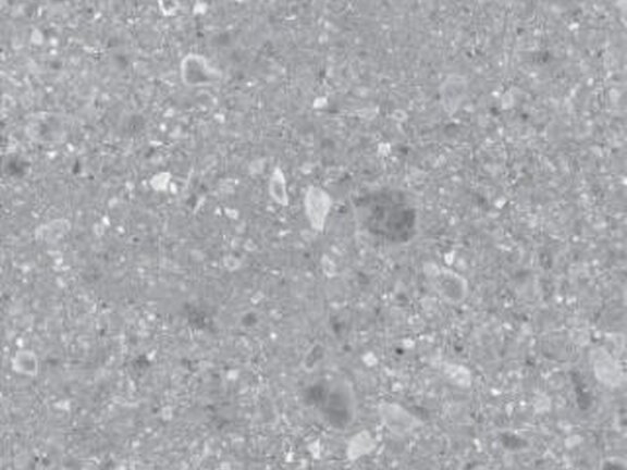 uploads/images/ragno/kleuren/realstone_ceppo/ragno_realstone_ceppo_grgio_rcwl.jpg