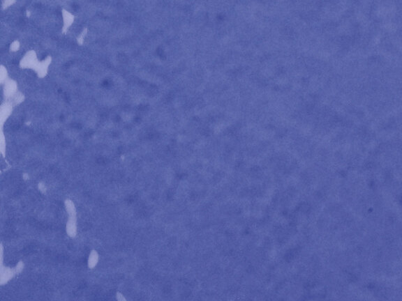 uploads/images/tonalite/kleur/exabright/tonalite_exabright_lavanda.jpg