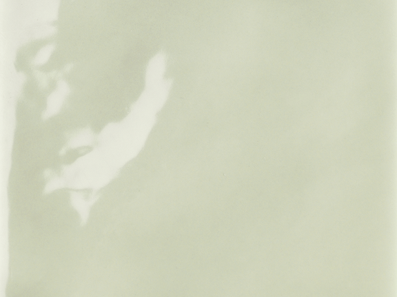 uploads/images/tonalite/kleur/fluid/tonalite_fluid_giunco.png