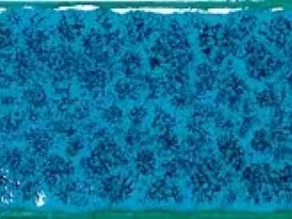uploads/images/tonalite/kleur/micronesia/tonalite_micronesia_turchese.jpg